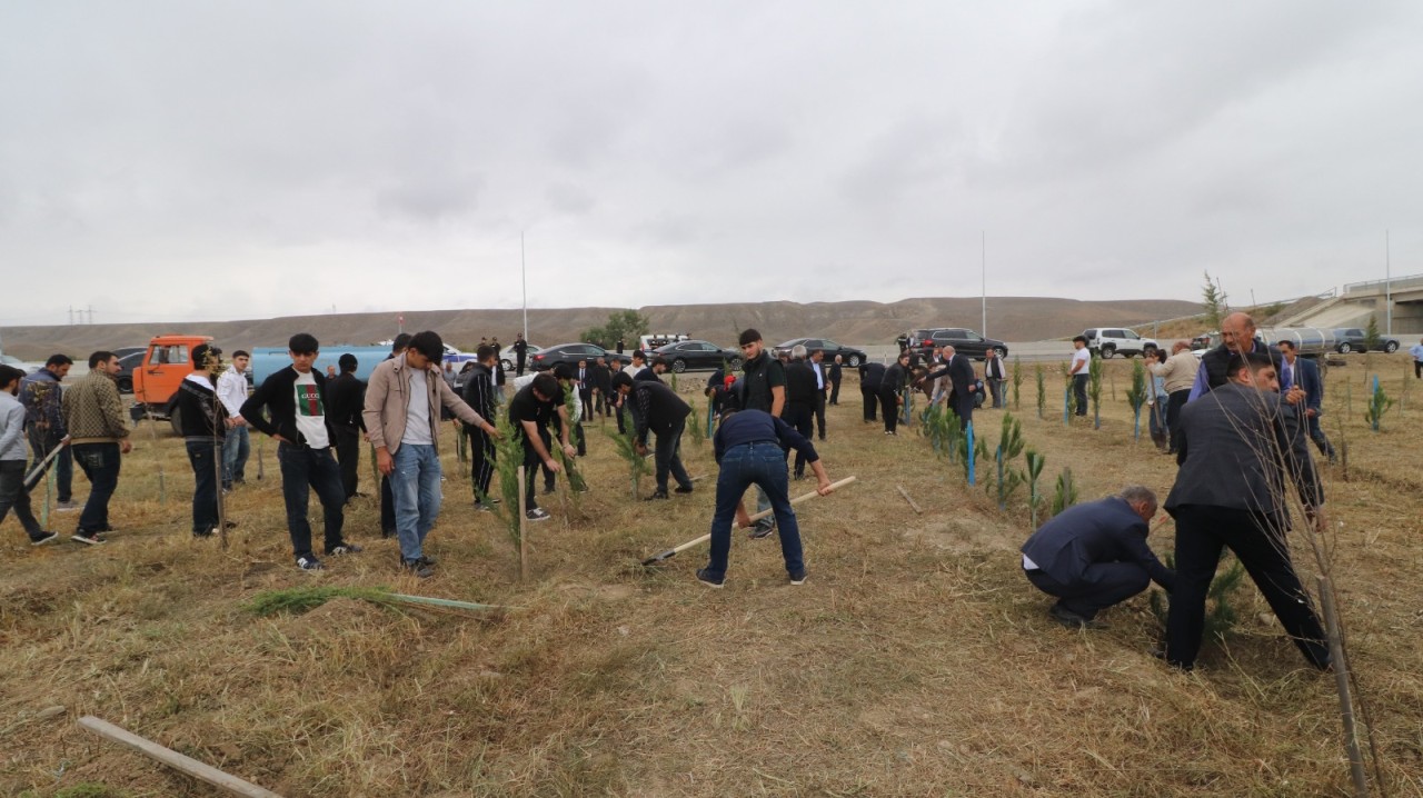 Qazaxda ağacəkmə aksiyası keçirildi - FOTOLAR